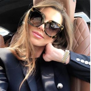 Brown Sunglasses